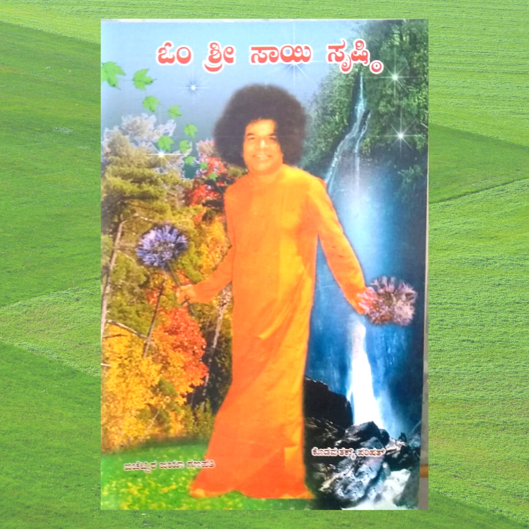 Om Shri Sai Shristi