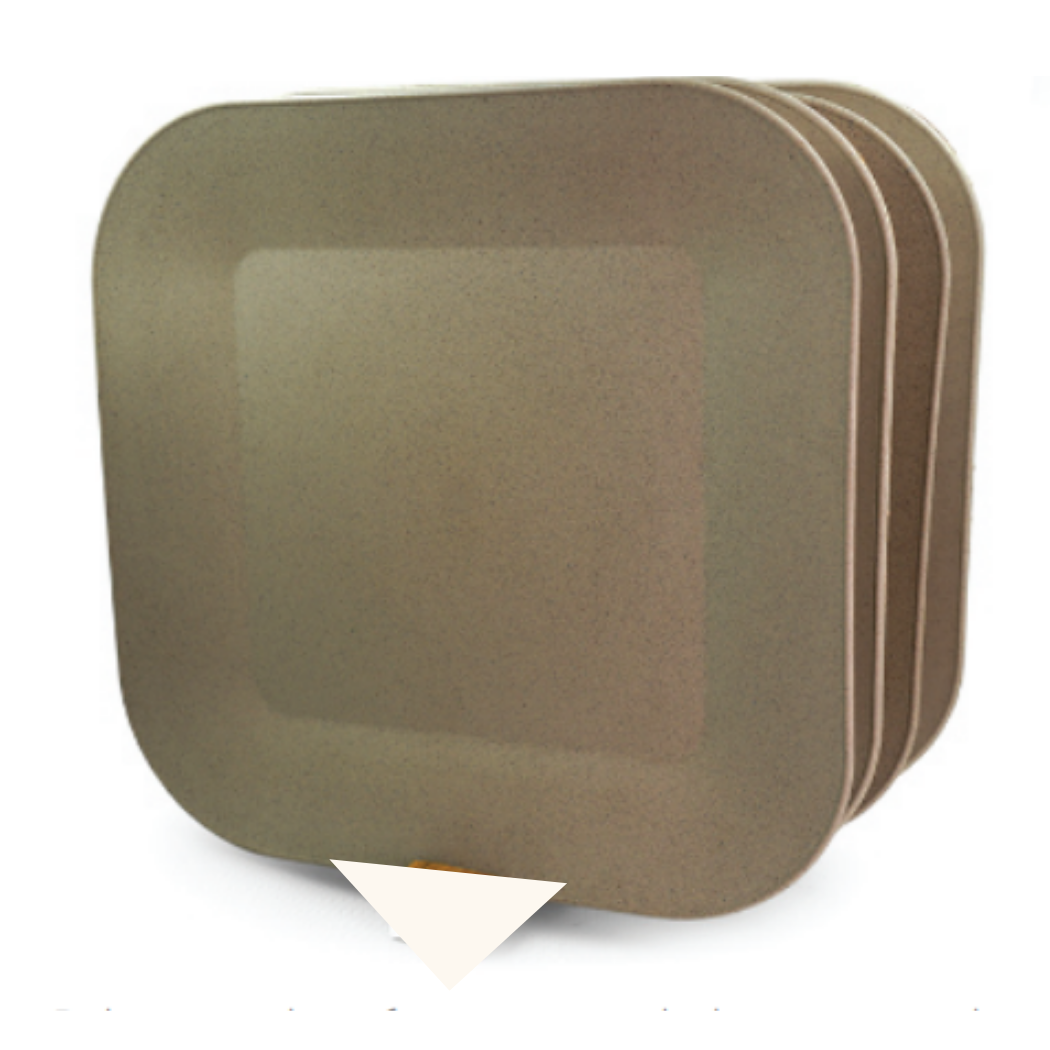 Picnic Plates - Set of 4